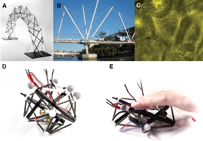 Tensegrity Robot performing a high-impact drop test.